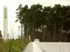 Без фокусів. Знайомимося з головною новинкою року, хетчем Ford Focus III