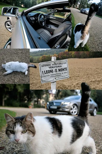 test-drive-26.jpg