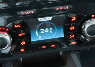 Энтомология. Ловим в один сачок два кроссовера Nissan Juke