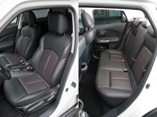 Энтомология. Ловим в один сачок два кроссовера Nissan Juke