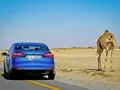 Подходим к Kia Cerato с вопросом о лучшем автo в мире
