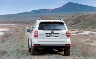 Розплутуємо родинні зв'язки кросовера Subaru Forester