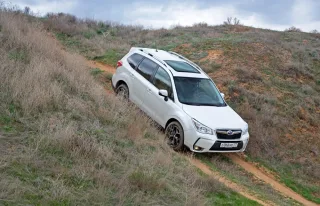 Розплутуємо родинні зв'язки кросовера Subaru Forester