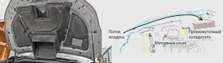 Розплутуємо родинні зв'язки кросовера Subaru Forester