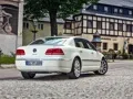 We portray underground oligarchs in a Volkswagen Phaeton sedan