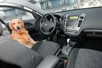 small-test-drive-2.jpg