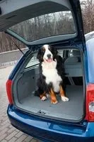 small-test-drive-6.jpg