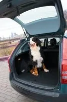 small-test-drive-7.jpg
