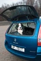 small-test-drive-9.jpg