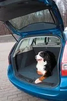 small-test-drive-10.jpg