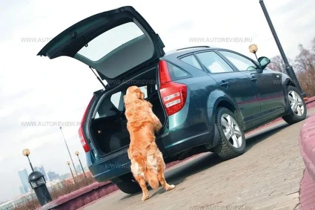 test-drive-11.jpg