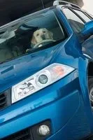 small-test-drive-27.jpg