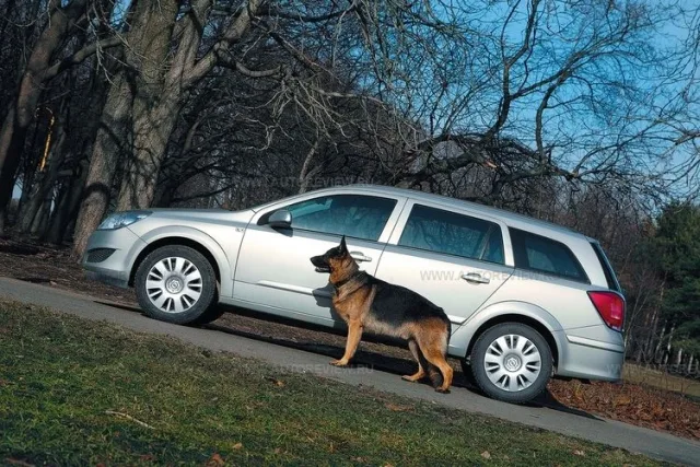 test-drive-39.jpg