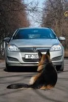 test-drive-42.jpg