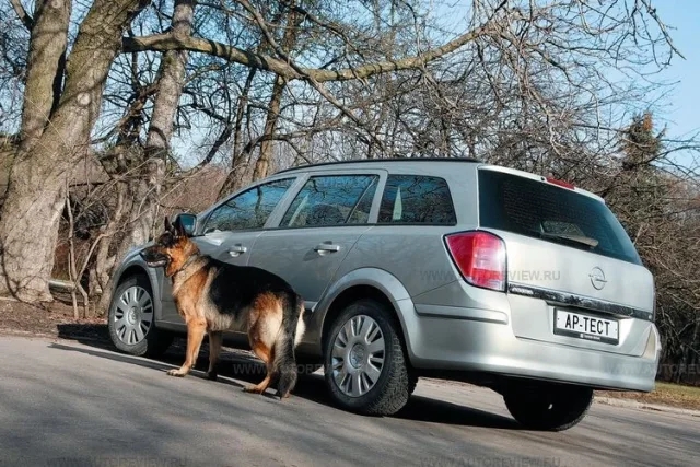 test-drive-43.jpg