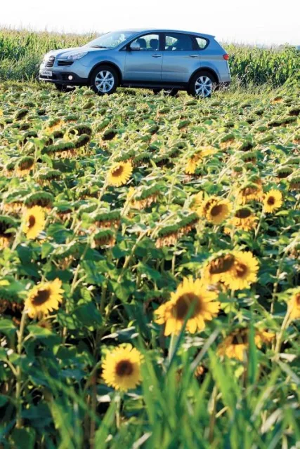 test-drive-9.jpg