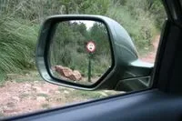 small-test-drive-17.jpg