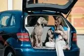 test-drive-2.jpg