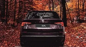 Сервісна пропозиція жовтня: -20% на ремонт SKODA