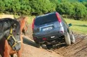 test-drive-3.jpg
