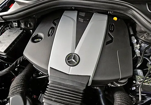 mb25.jpg