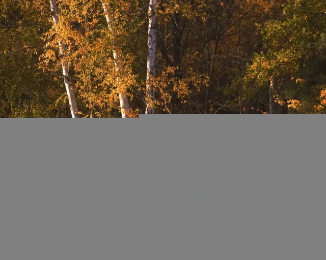 Peugeot Bipper Tepee 1.4D AT Combispace — 14