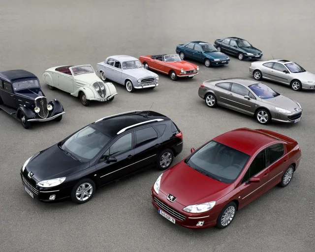 Peugeot 407 SW (Пежо 407) универсал — 20