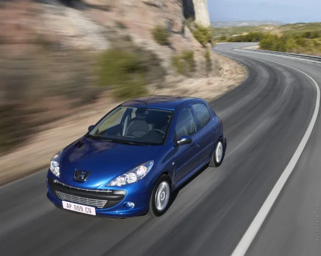 Peugeot 206 1.4 MT — 12