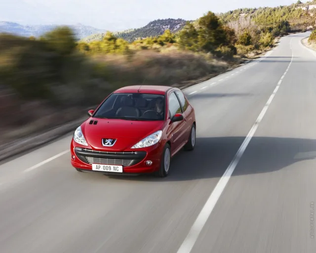 Peugeot 206 1.4 MT — 16