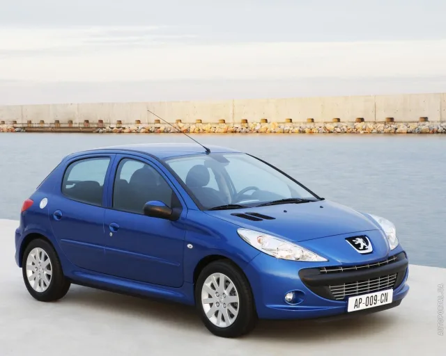 Peugeot 206 1.4 MT — 15
