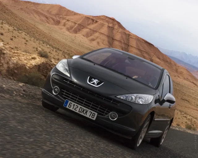 Peugeot 207 1.4 MT Active — 17