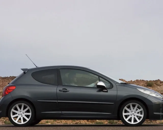 Peugeot 207 1.4 MT Active — 19