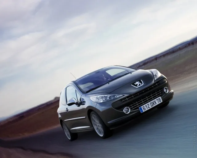 Peugeot 207 1.4 MT Active — 22