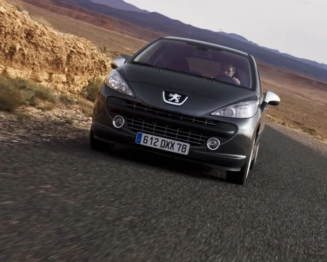 Peugeot 207 1.4 MT Active — 24