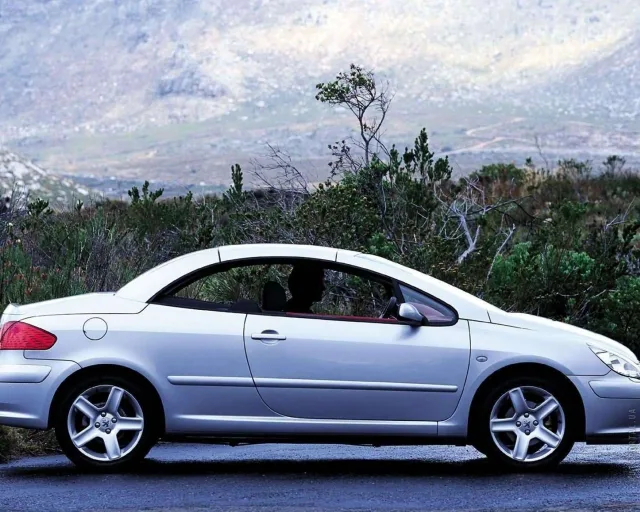 Peugeot 307 cc 2.0 AT — 17