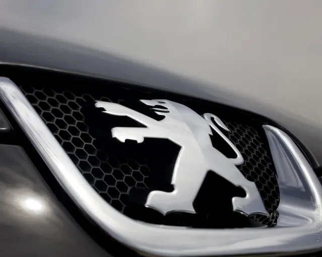 Peugeot 407 SW (Пежо 407) универсал — 22