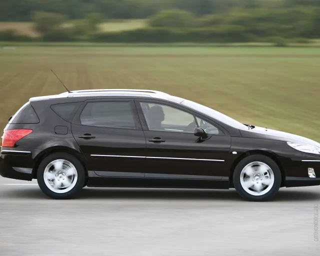 Peugeot 407 SW (Пежо 407) универсал — 13