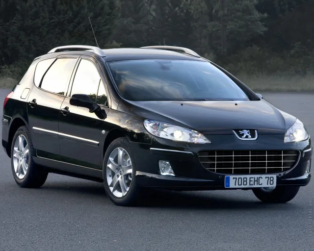 Peugeot 407 SW (Пежо 407) универсал — 16