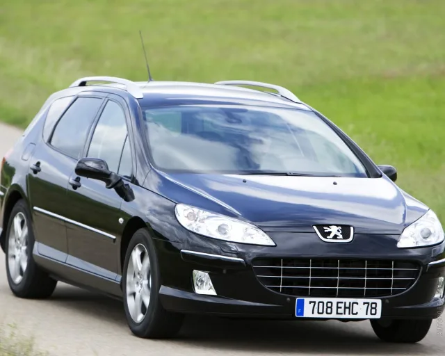 Peugeot 407 SW (Пежо 407) универсал — 21