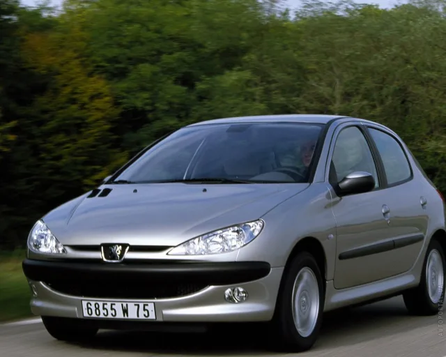 Peugeot 206 (Пежо 206) 5-ти дверный хэтчбек — 16