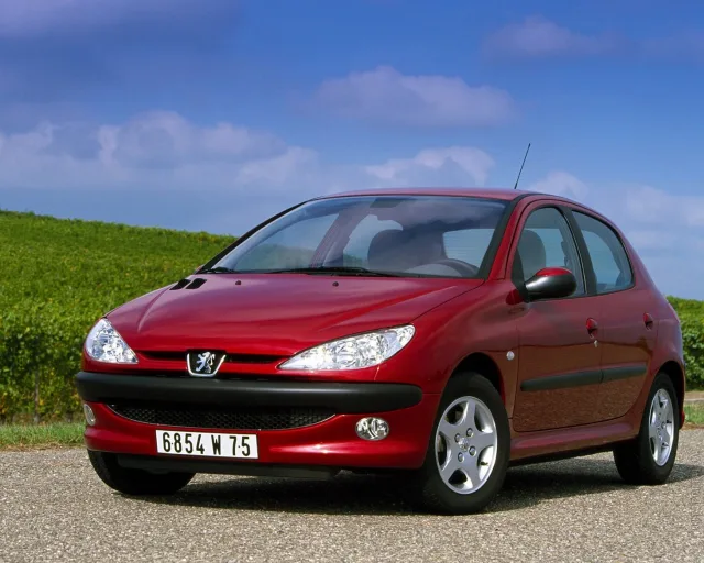 Peugeot 206 (Пежо 206) 5-ти дверный хэтчбек — 10