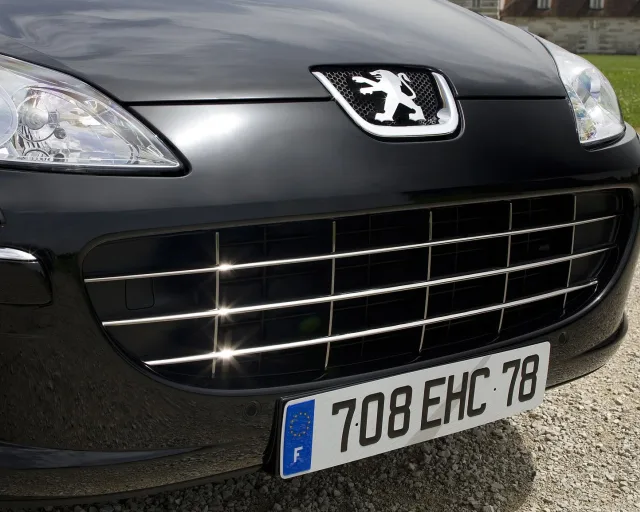Peugeot 407 SW (Пежо 407) универсал — 24