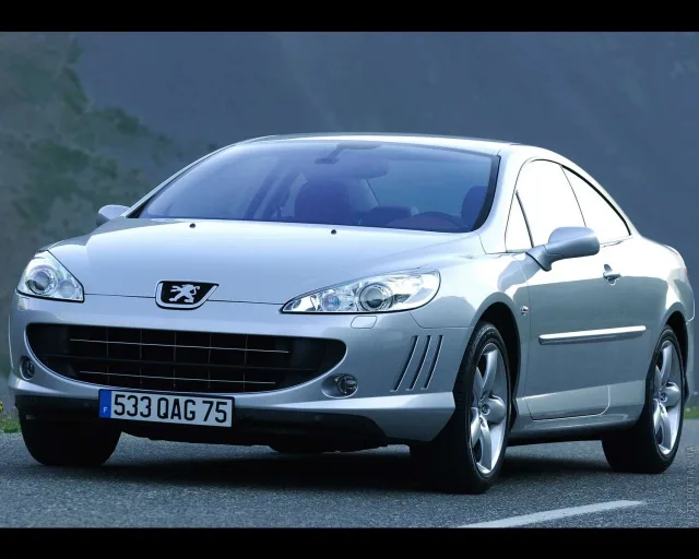 Peugeot 407 Coupe купе — 12