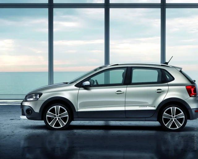 Volkswagen Cross Polo 2010 (Фольксваген Кросс Поло) хэтчбек — 7