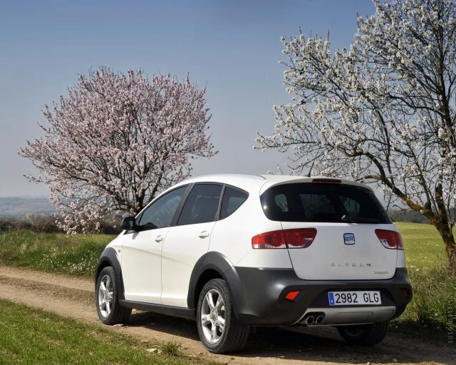 SEAT Altea Freetrack crossover — 6