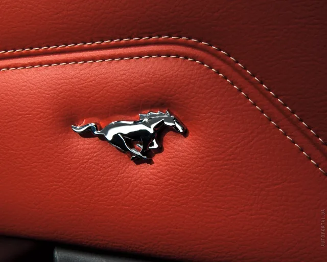 Ford Mustang 4.6 AT — 18