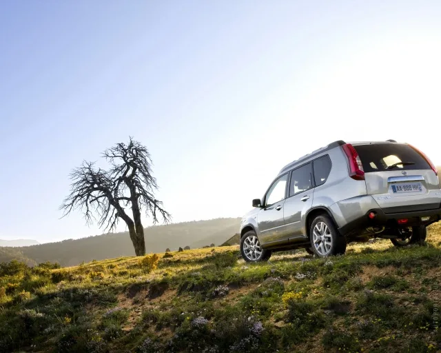 Nissan X-Trail 2.5 AT LE-DE — 12