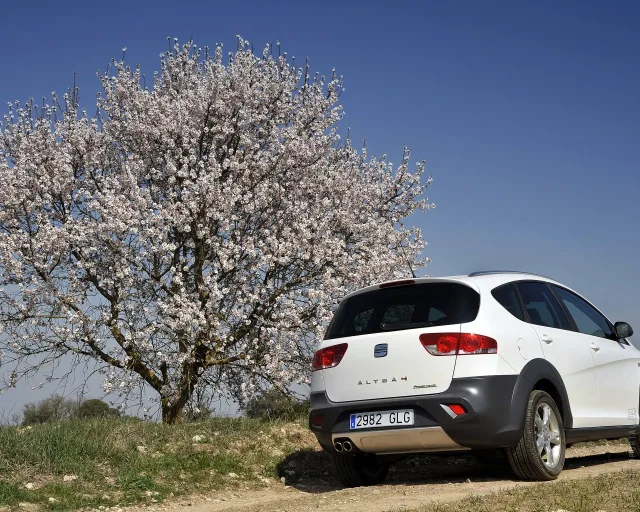 SEAT Altea Freetrack crossover — 3