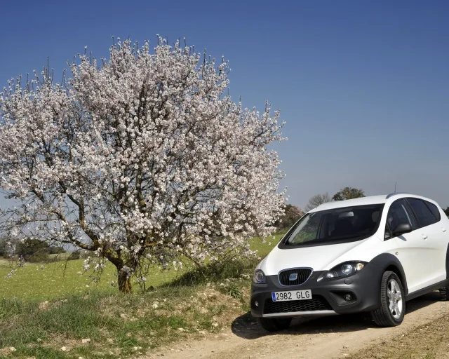 SEAT Altea Freetrack crossover — 19