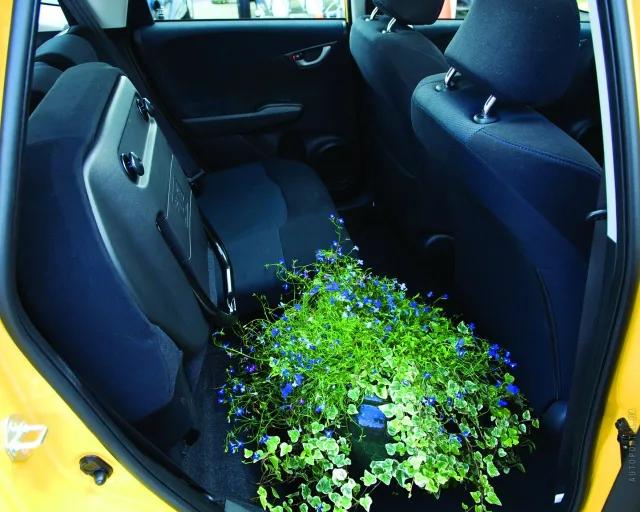 Honda Jazz 1.3 AT Elegance Modulo — 13